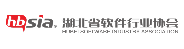 湖北省软件服务业协会